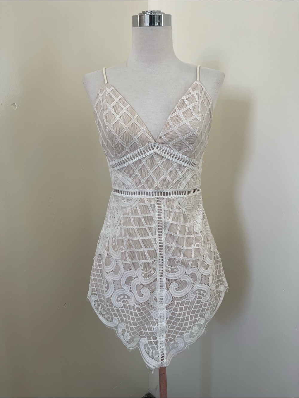 Tobi Ivory Lace Embroidered Chemise